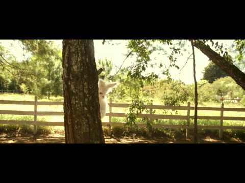 Valle De Magnolias - Gaby Moreno