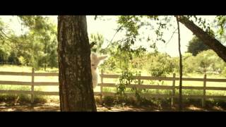 Gaby Moreno - Valle de Magnolias (Video Oficial)