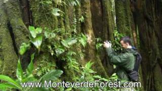 preview picture of video 'Monteverde Cloud Forest Reserve - Costa Rica'