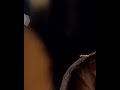 Qarib Qarib Single Movie Song BADE ACHE LAGTE HAI