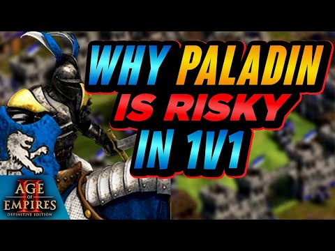 Why Paladin Is An Extremely Risky Option In 1v1 | AoE2