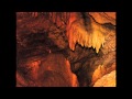 Warren Zevon Monkey Wash Donkey Rinse Caver Edition