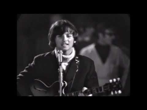 The Mindbenders: A Groovy Kind Of Love - 1966 (My "Stereo Studio Sound" Re-Edit)