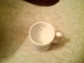 POSITIVE HOMEMADE PREGNANCY BLEACH TEST.