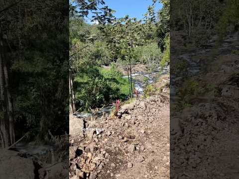 Así es el ingreso a la catarata la Escondida ubicada en san Lucas Toliman Solola ☀️