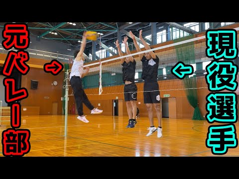 元バレーボール部の朝倉海が日本トップ選手に挑戦してみた