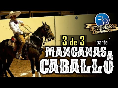 MANGANAS ON HORSEBACK 3 of 3 part 1 - IV Centennial Championship 2020