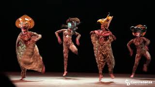 África Exótica en Manizales - Fundación Contradanza