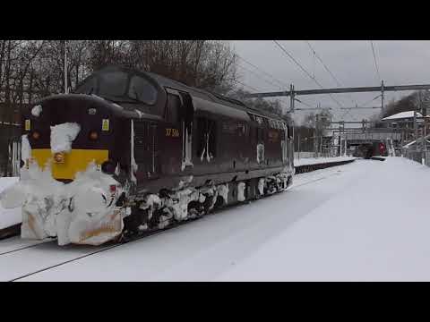 West Coast Railways Class 37 516 in the snow at Springburn | (02/03/18)