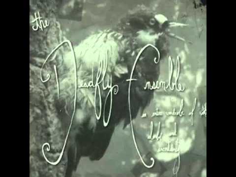 The Deadfly Ensemble - Bruise Animals (with lyrics)