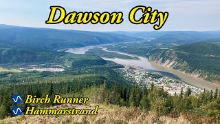 Best MTB trails in Dawson City, YT - Birch Runner and Hammarstrand
