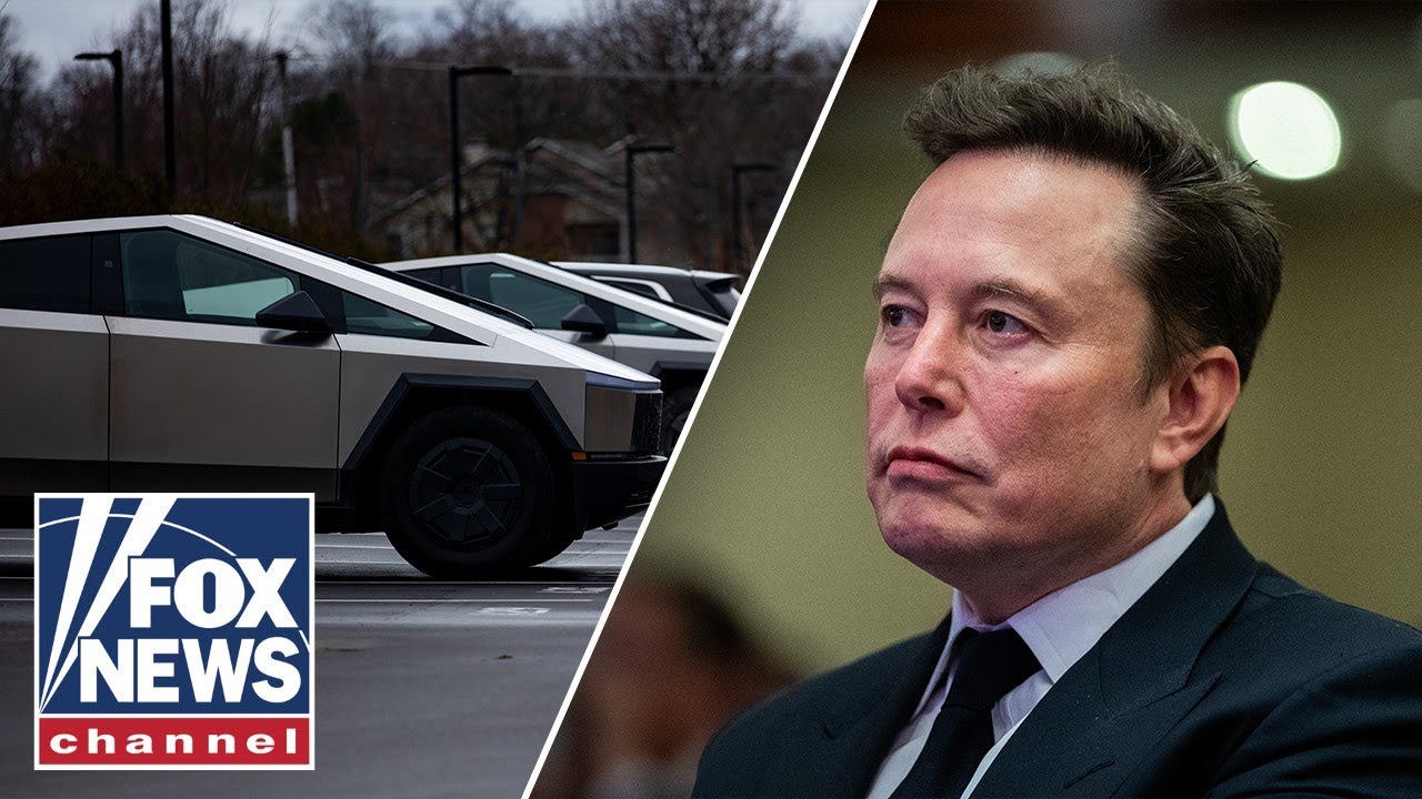 ‘TARGETED’: Tesla owner reacts to shocking vandalism