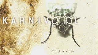 2. Themata - Karnivool [HQ]