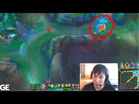 Doublelift's Support Has No Fear