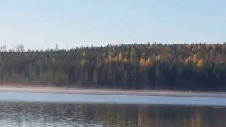 Lauri Tähkä   Kipua