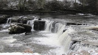 preview picture of video 'Yorkshire Dales Country Walk - West Burton to Aysgarth Falls round'