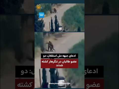 ادعای جبهه ملی استقلال: دو عضو طالبان در ننگرهار کشته شدند. video thumbnail