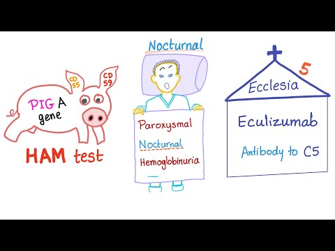 Paroxysmal Nocturnal Hemoglobinuria (PNH) Mnemonic!