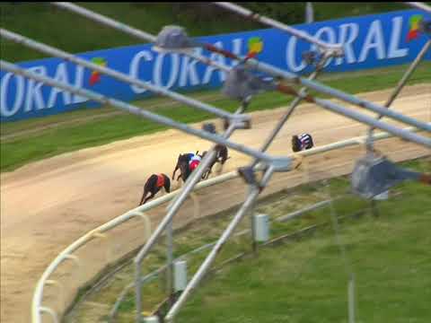 Apache Kid - Coral Regency Heat 4 Hove 26/04