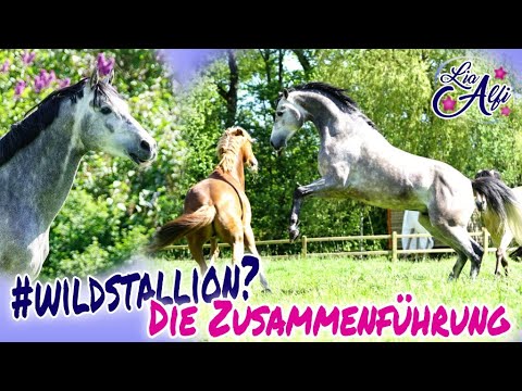 Lia & Alfi - The spectacular reunion :-D