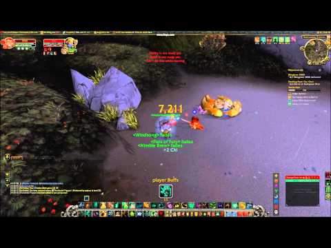 Monk PvP WoW 90 Trailer : Fists of Fury 1