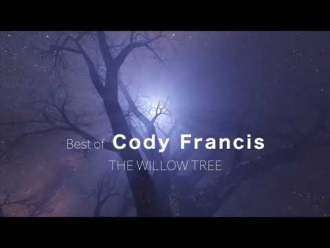 Best of Cody Francis / Vanlife / Relaxing Calm Compilation (1 Hour Playlist) #relaxingcosiness