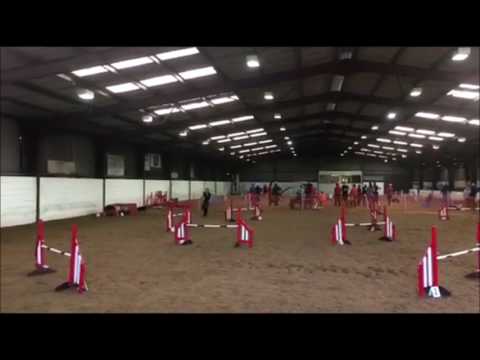 Zest Dig It Dogs April Steeplechase