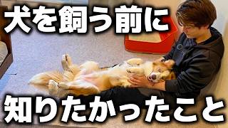 【知らないと後悔】犬を飼う前に絶対知っておくべきこと5選｜飼い主歴4年の僕が本音で話します