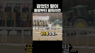 출발부터 꼴찌라면... #경마 #경마초보 #경마브이로그 #경마하는법 #출발 #꼴찌