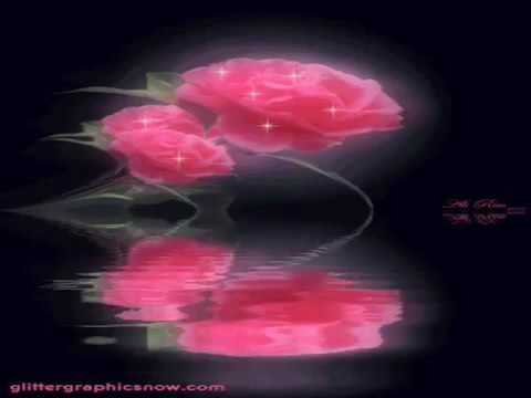 Old school   Sarnai tseteg