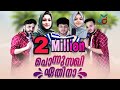 Ponnu Sakhi Ethinaa പൊന്നു സഖീ ഏതിനാ Album Remix Muneer Chottur Muthu Lo