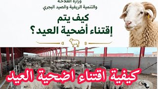 كيفية اقتناء اضحية العيد بعد قبول الطلب