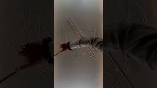 There is always a way to connect the dots...