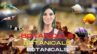 Botanicals for Shrimp & Snails