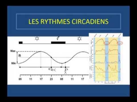 comment retrouver un rythme de sommeil normal