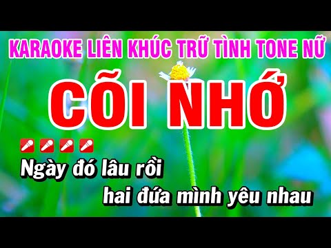 Karaoke Liên Khúc Trữ Tình Tone Nữ Nhạc Sống Dễ Hát - Cõi Nhớ | Hoài Phong Organ