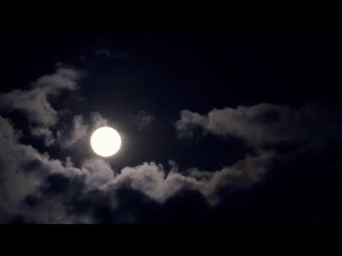 Moonlight Serenade - Daydream Twins