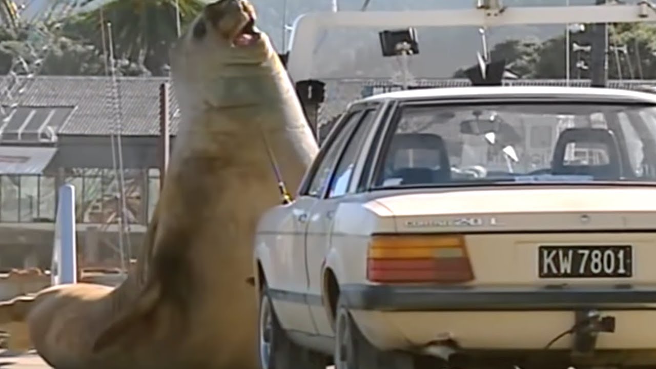 10 Maiores Animais do Mundo