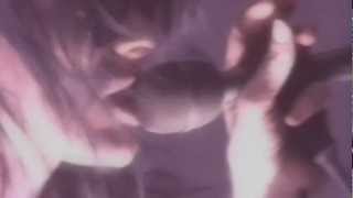 Sisters Of Mercy - More - Vision Thing 1990