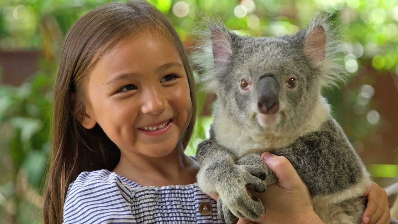 THRIVE 2030 – Reimagining the Visitor Economy