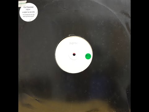 Cor Fijneman - Jaguar