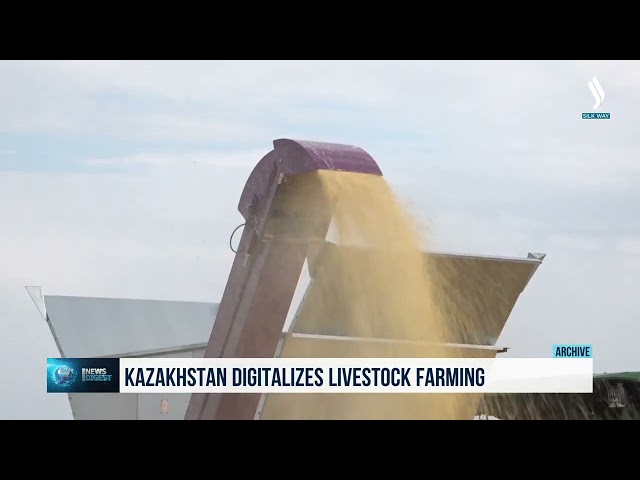 Kazakistan'da hayvanların durumunu belirleyen akıllı bir çözüm geliştirildi