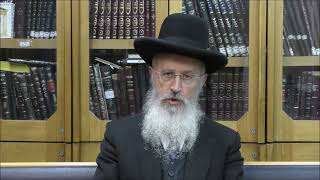 הגאון הרב אברהם יוסף שליט"א האם כלי ראשון ושני נחשבים כמבשל כל זמן שהיד סולדת בו?