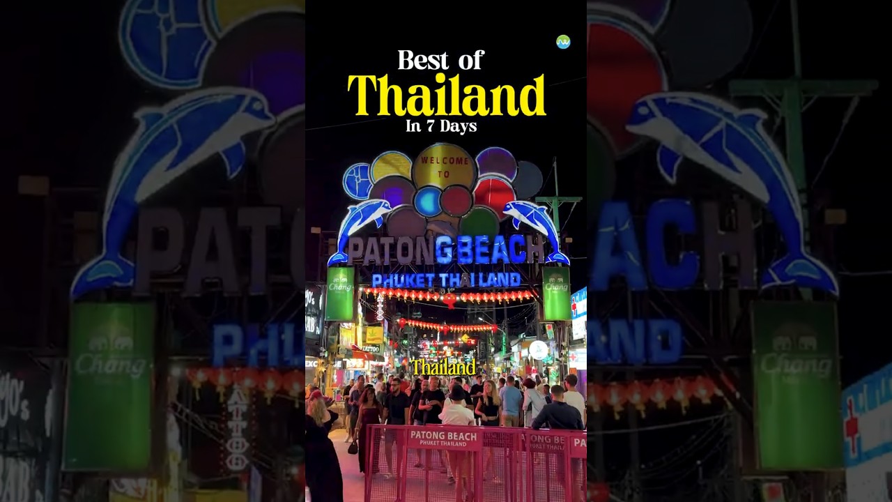 YouTube thumbnail 6P0yrf8WjTA