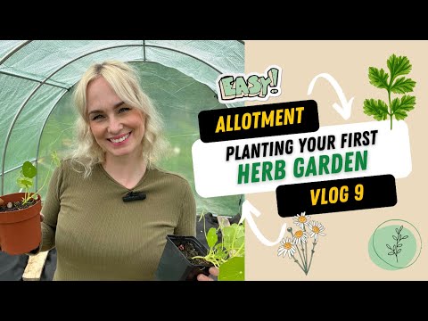 How to plant your first herb garden!