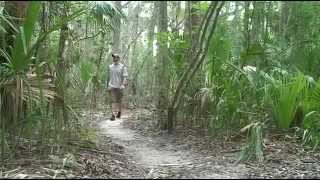 Kathryn Abbey Hanna Park Video