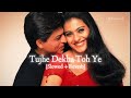Tujhe Dekha Toh Yeh Jana Sanam Slowed Reverb Kumar Sanu Dilwale Dulhaniya Le Jayenge