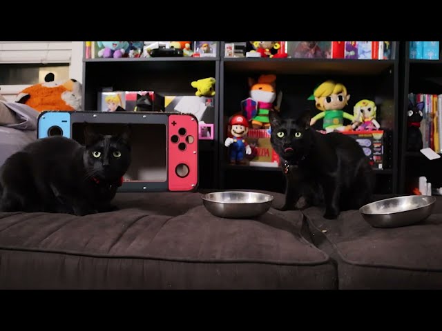 Judge.me YouTube video placeholder