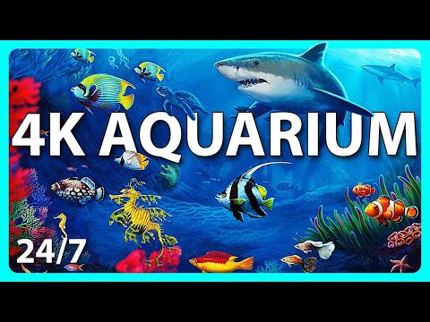 🔴 The Best Relaxing Aquarium in 4K - 24/7 - Soothing Music for Sleep, Study &  Relaxation 🐠🐟