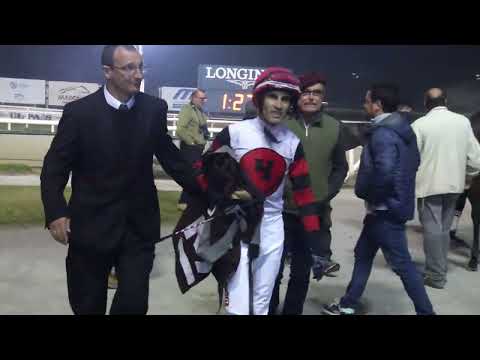 230625 c13 Gran Criterium/ MAJESTIC BOY